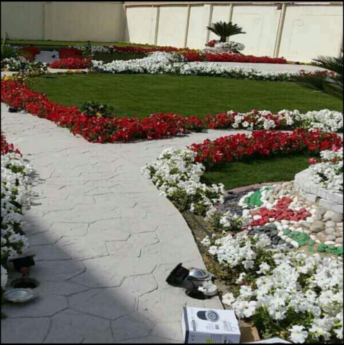 زراعة وتنسيق