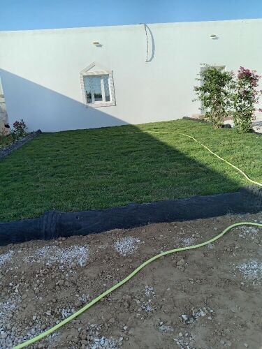 زراعه وديكور