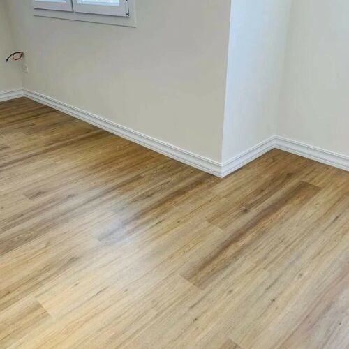 بيع باركيا مقاومة للماء