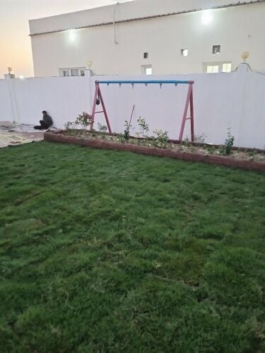 العشب الاخضر