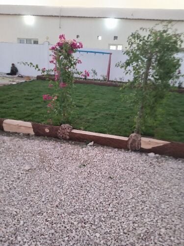 زراعه وديكور