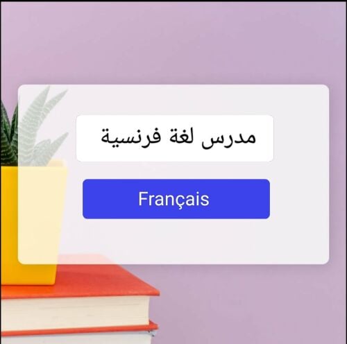 مدرس فرنسي