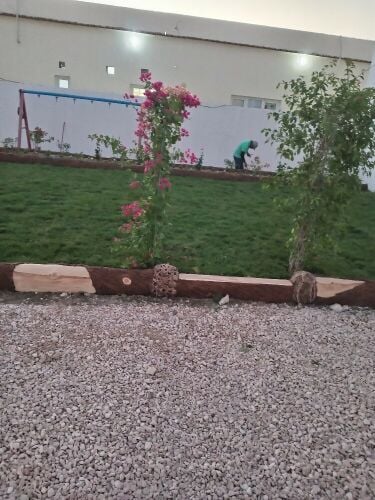 زراعه وديكور