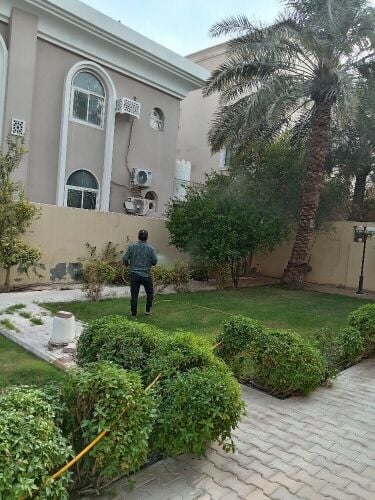 زراعه وديكور