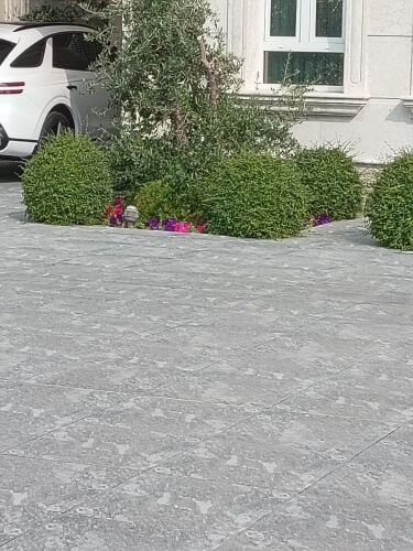 زراعه وديكور