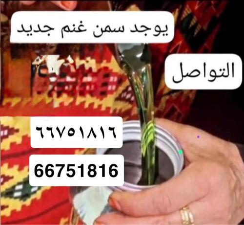 سمن غنم ممتاز 