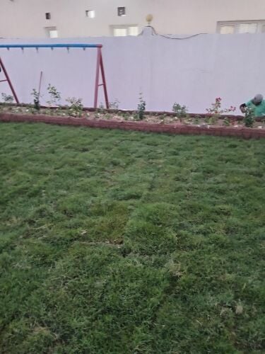 زراعه وديكور