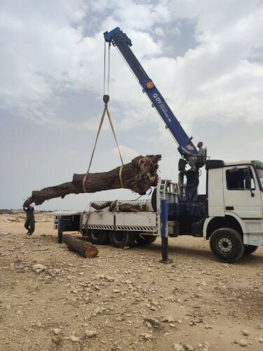 للايجار كريم عشره طن