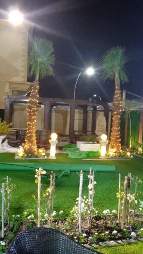 زراعه وديكور