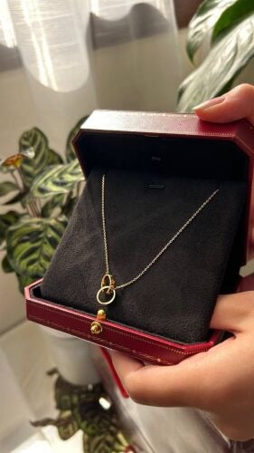 Cartier Love Necklace
400