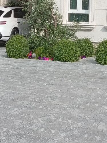 زراعه وديكور