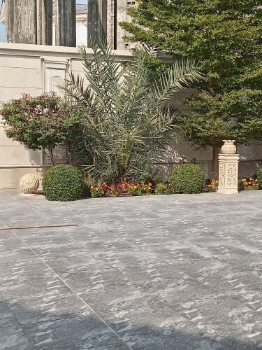 زراعه وديكور