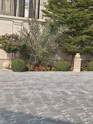 زراعه وديكورات