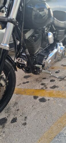 Harley Davidson  dyna street p