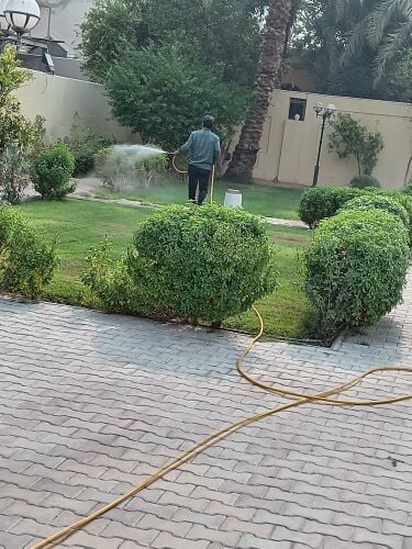 زراعه وديكور