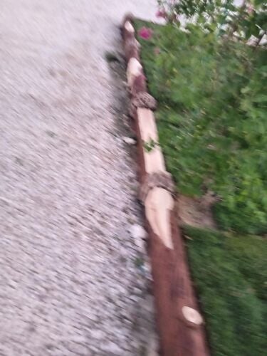 عمل ديكورات