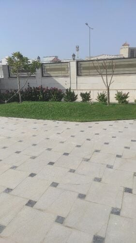 زراعه العشب الأخضر