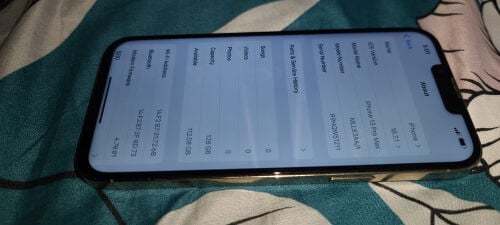 IPHONE 13Pro Max, 1350