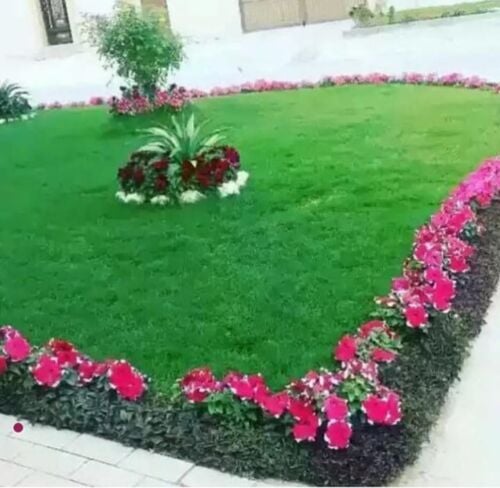 زراعه وديكور