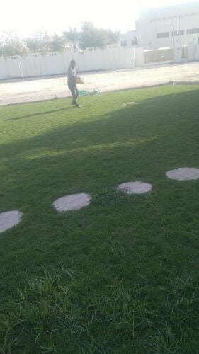 زراعه وديكور