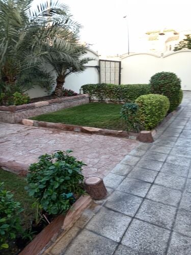 زراعه وديكور