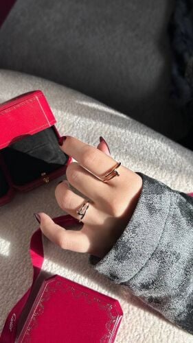 Cartier Anel Juste un Clou Ring,