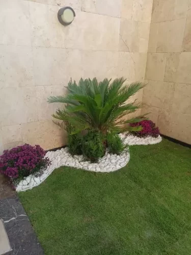 كل ما يتعلق بالزراعة والديكور