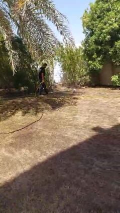 رش وتكريب النخل في المزارع والبيو
