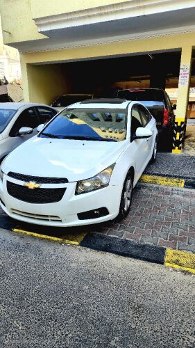 chauffeur (driver) with car