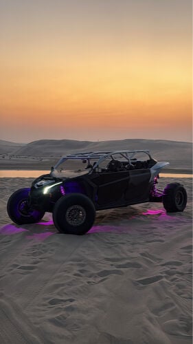 للبيع كنم 2019