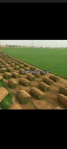 مزارع توريد وتركيب العشب الطبيعي