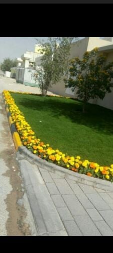مزارع تنسيق الحدائق ومتابعه شهريه