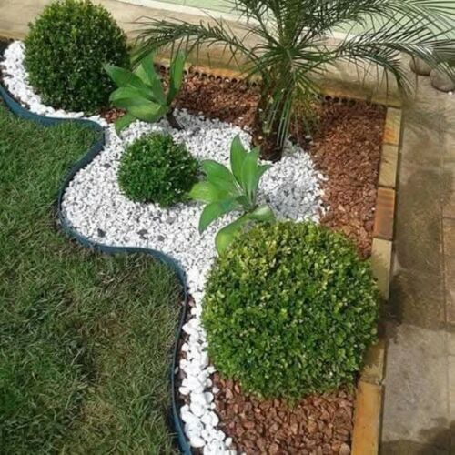 جمار النخيل  للبع2222