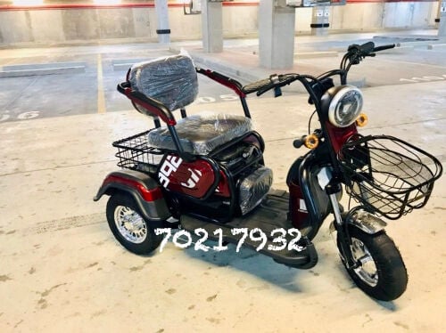 Electric Scooter 3 wheel 