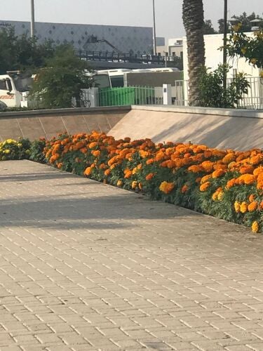 مزارع ترتيب الحدائق ومتابعه شهرية