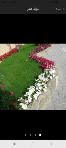 مزارع