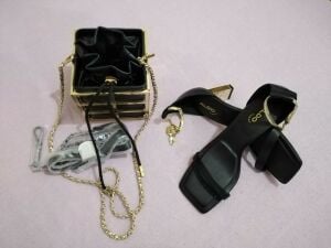 NEW ALDO BAG & SHOES