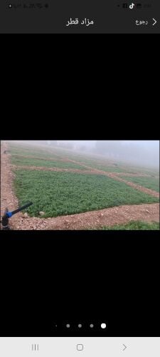 مزارع استصلاح مزارع وزراعه الجت
