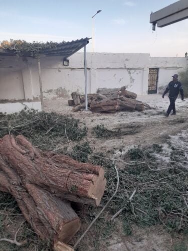 زراع تقطيع اشجار ونخل وعشب وتنسيف