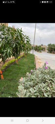 مزارع تنسيق الحدائق ومتابعه شهريه