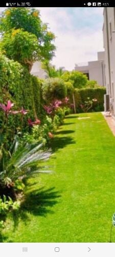 مزارع صيانه الحديقه وتربيتها