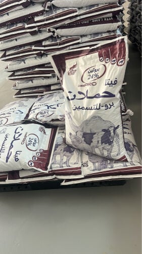 حملان ٢٤٪؜ بروتين 