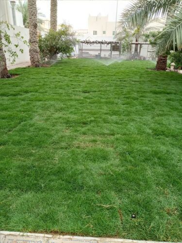 مزراع ومنسق حدايق