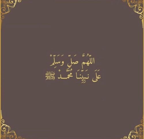 سائق عربي يبحث عن عمل