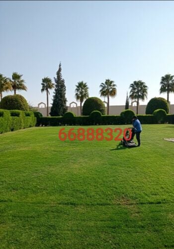 زراعه الحدائق