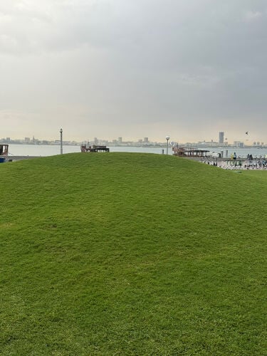 رضوان