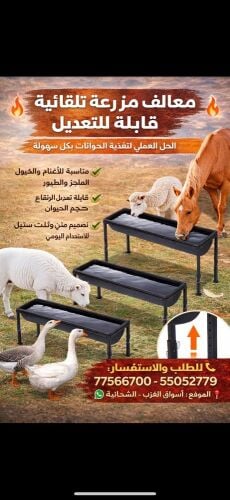 الطيور والحيوانات