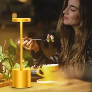 LED Desk Lamp with 3 Color