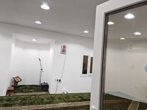 New custom-designed mosques