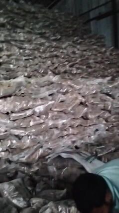 حطب زيتون وقرض وسمر وغضا مستورد